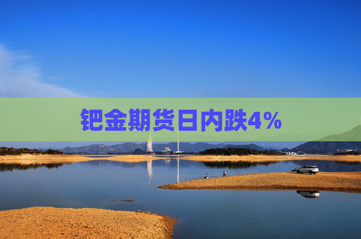 钯金期货日内跌4%
