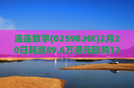 连连数字(02598.HK)2月20日耗资89.6万港元回购12.3万股