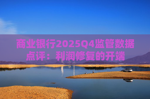 商业银行2025Q4监管数据点评：利润修复的开端