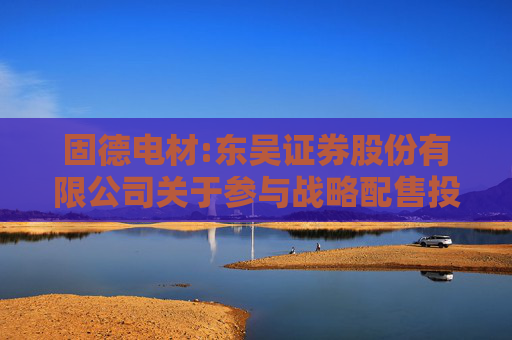 固德电材:东吴证券股份有限公司关于参与战略配售投资者的专项核查报告
