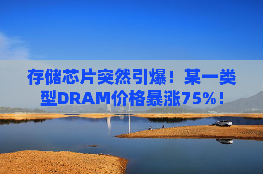存储芯片突然引爆！某一类型DRAM价格暴涨75%！