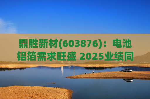 鼎胜新材(603876)：电池铝箔需求旺盛 2025业绩同比高增