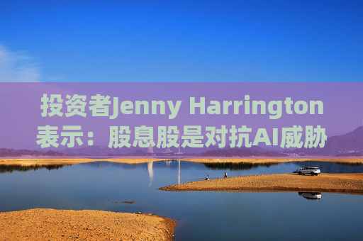 投资者Jenny Harrington表示:股息股是对抗AI威胁的良好对冲工具 第1张 投资者Jenny Harrington表示:股息股是对抗AI威胁的良好对冲工具 第1张