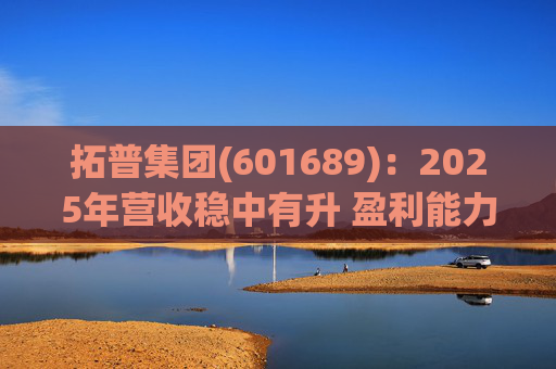 拓普集团(601689):2025年营收稳中有升 盈利能力短期承压