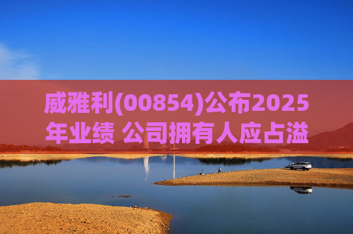 威雅利(00854)公布2025年业绩 公司拥有人应占溢利5095.8万港元