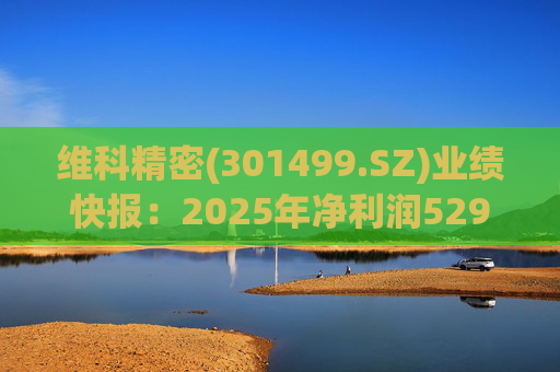 维科精密(301499.SZ)业绩快报：2025年净利润5293.82万元 同比增长16.85%  第1张