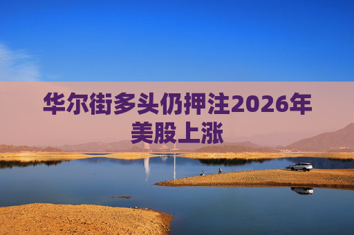 华尔街多头仍押注2026年美股上涨
