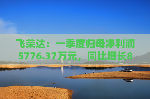 飞荣达：一季度归母净利润5776.37万元，同比增长85.57%  第1张