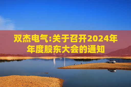 双杰电气:关于召开2024年年度股东大会的通知