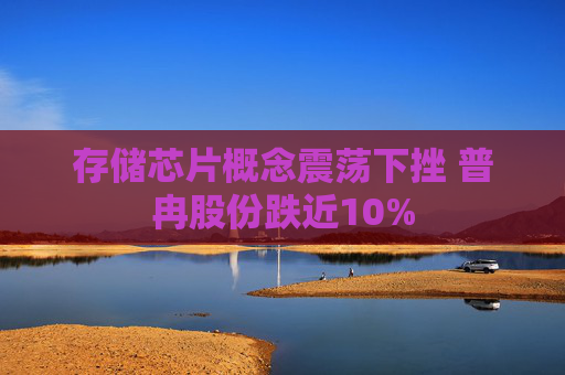 存储芯片概念震荡下挫 普冉股份跌近10%