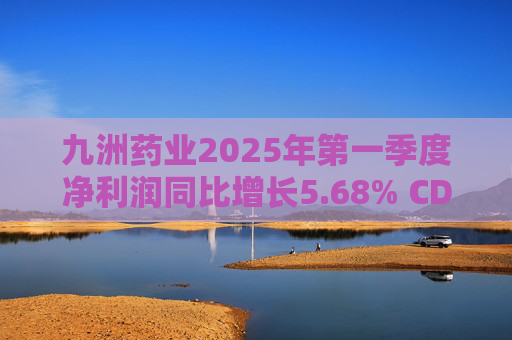 九洲药业2025年第一季度净利润同比增长5.68% CDMO业务稳步提升 第1张 九洲药业2025年第一季度净利润同比增长5.68% CDMO业务稳步提升 第1张