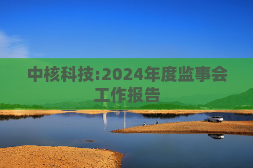 中核科技:2024年度监事会工作报告