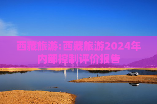 西藏旅游:西藏旅游2024年内部控制评价报告  第1张