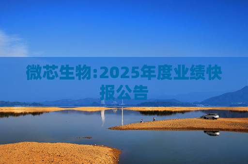 微芯生物:2025年度业绩快报公告