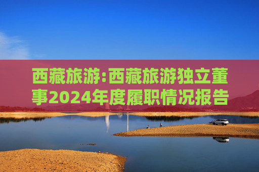 西藏旅游:西藏旅游独立董事2024年度履职情况报告（高金波）  第1张