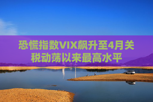 恐慌指数VIX飙升至4月关税动荡以来最高水平