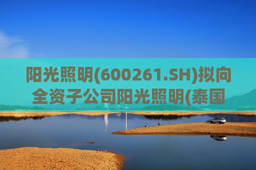 阳光照明(600261.SH)拟向全资子公司阳光照明(泰国)增资3.24亿元用于建设泰国生产基地