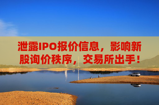 泄露IPO报价信息，影响新股询价秩序，交易所出手！