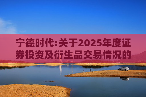 宁德时代:关于2025年度证券投资及衍生品交易情况的专项说明