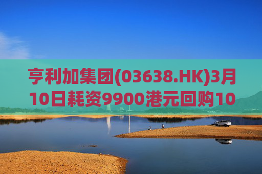 亨利加集团(03638.HK)3月10日耗资9900港元回购1000股