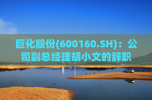 巨化股份(600160.SH)：公司副总经理胡小文的辞职  第1张