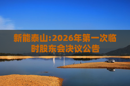 新能泰山:2026年第一次临时股东会决议公告