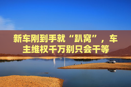 新车刚到手就“趴窝”，车主维权千万别只会干等