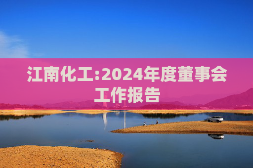 江南化工:2024年度董事会工作报告
