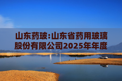 山东药玻:山东省药用玻璃股份有限公司2025年年度报告