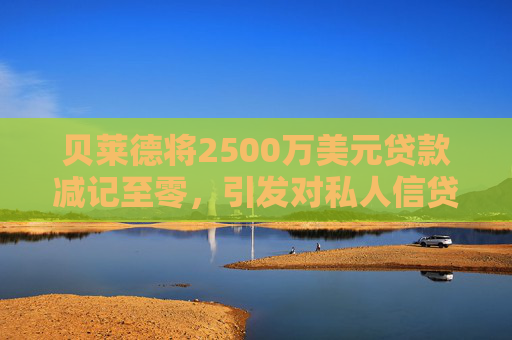 贝莱德将2500万美元贷款减记至零，引发对私人信贷的担忧