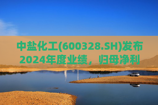 中盐化工(600328.SH)发布2024年度业绩，归母净利润5.19亿元，同比下降56.32%  第1张