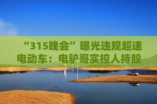 “315晚会”曝光违规超速电动车：电驴哥实控人持股公司经营异常，黑骑士去年变更股东