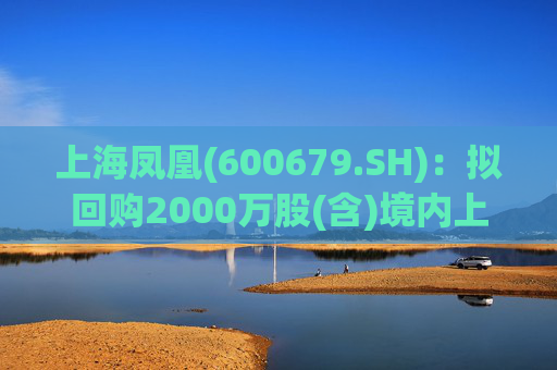 上海凤凰(600679.SH)：拟回购2000万股(含)境内上市外资股(B股)  第1张
