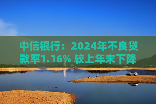 中信银行：2024年不良贷款率1.16% 较上年末下降0.02个百分点  第1张