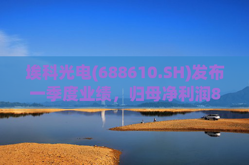 埃科光电(688610.SH)发布一季度业绩,归母净利润862万元,同比下降5.94%