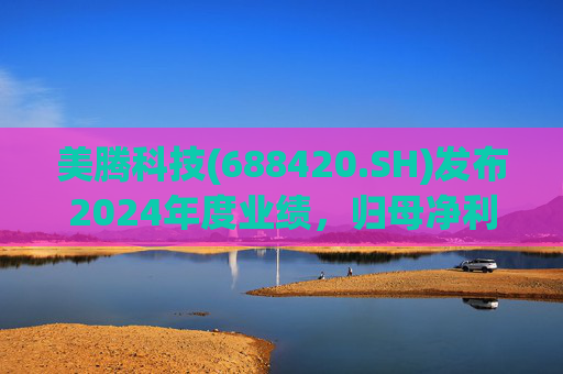 美腾科技(688420.SH)发布2024年度业绩，归母净利润4068万元，同比下降45.21%  第1张