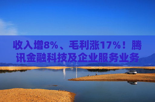 收入增8%、毛利涨17%！腾讯金融科技及企业服务业务稳健增长