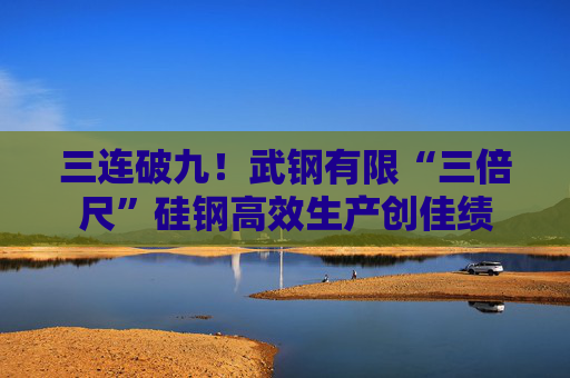 三连破九！武钢有限“三倍尺”硅钢高效生产创佳绩  第1张