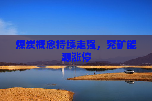 煤炭概念持续走强，兖矿能源涨停