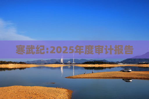寒武纪:2025年度审计报告
