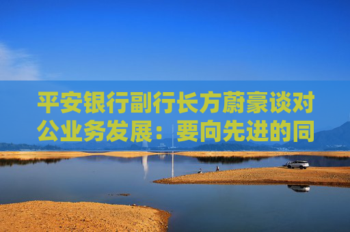 平安银行副行长方蔚豪谈对公业务发展：要向先进的同行多去学习，同时要大快步赶上