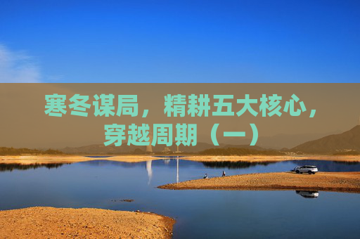 寒冬谋局，精耕五大核心，穿越周期（一）