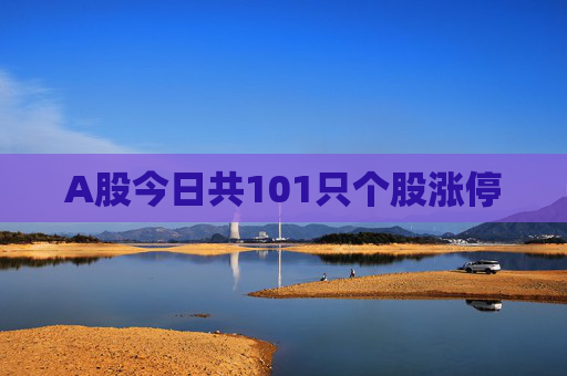 A股今日共101只个股涨停