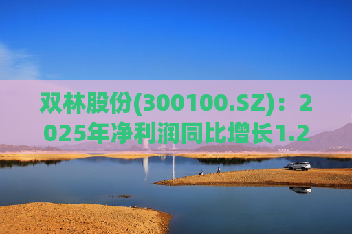 双林股份(300100.SZ)：2025年净利润同比增长1.25% 拟10股派1元
