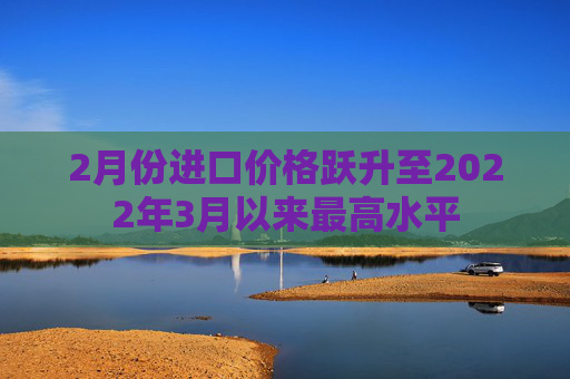 2月份进口价格跃升至2022年3月以来最高水平