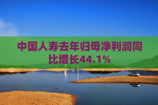 中国人寿去年归母净利润同比增长44.1%