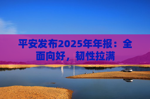 平安发布2025年年报：全面向好，韧性拉满