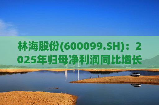 林海股份(600099.SH):2025年归母净利润同比增长33.24%,每股拟派利0.045元