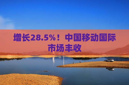 增长28.5%！中国移动国际市场丰收