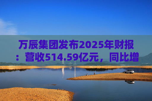 万辰集团发布2025年财报：营收514.59亿元，同比增长59.17%